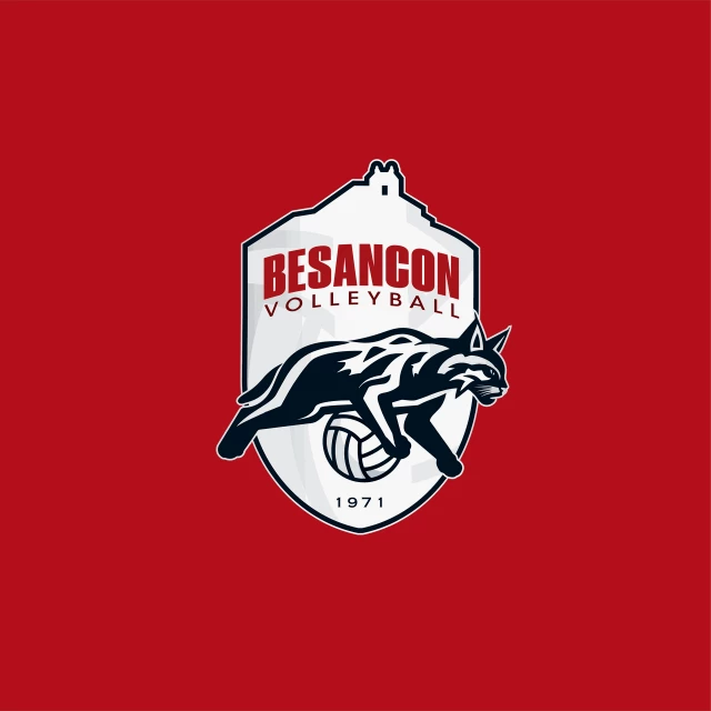 BESANCON VOLLEY